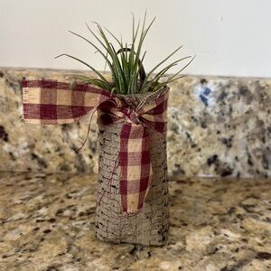 Wicker Basket Air Plant Arrangement
